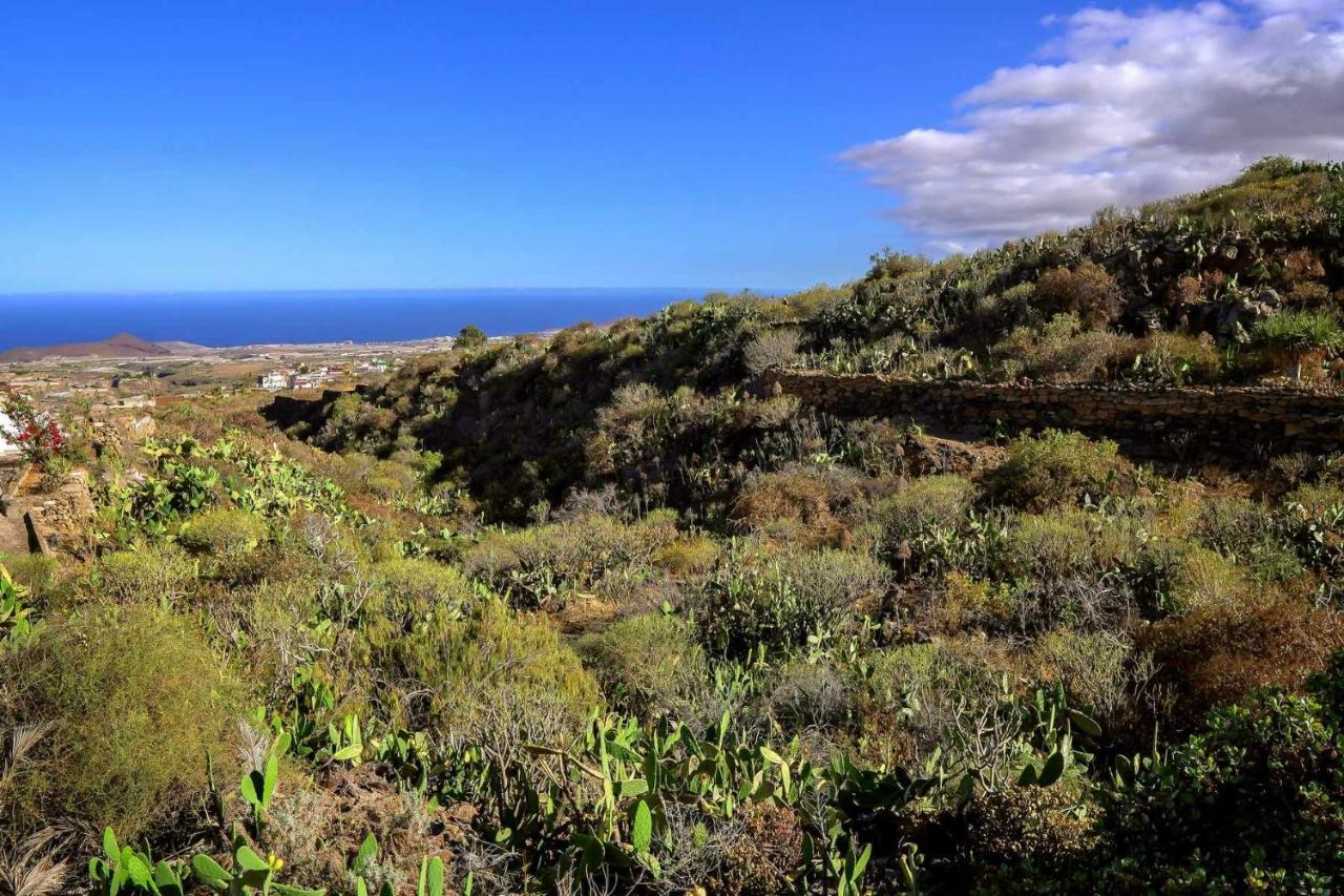 Villa Rural Casa Blanca By Tenerife Rental & Sales Granadilla De Abona Eksteriør billede